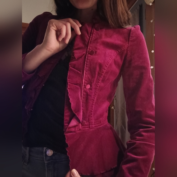 Velvet Blazer - Picture 3 of 12